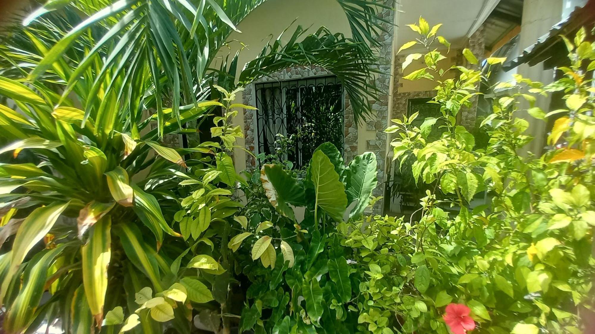 Mount Zion Guest House, Mtwapa Mtomondoni Mombassa Buitenkant foto