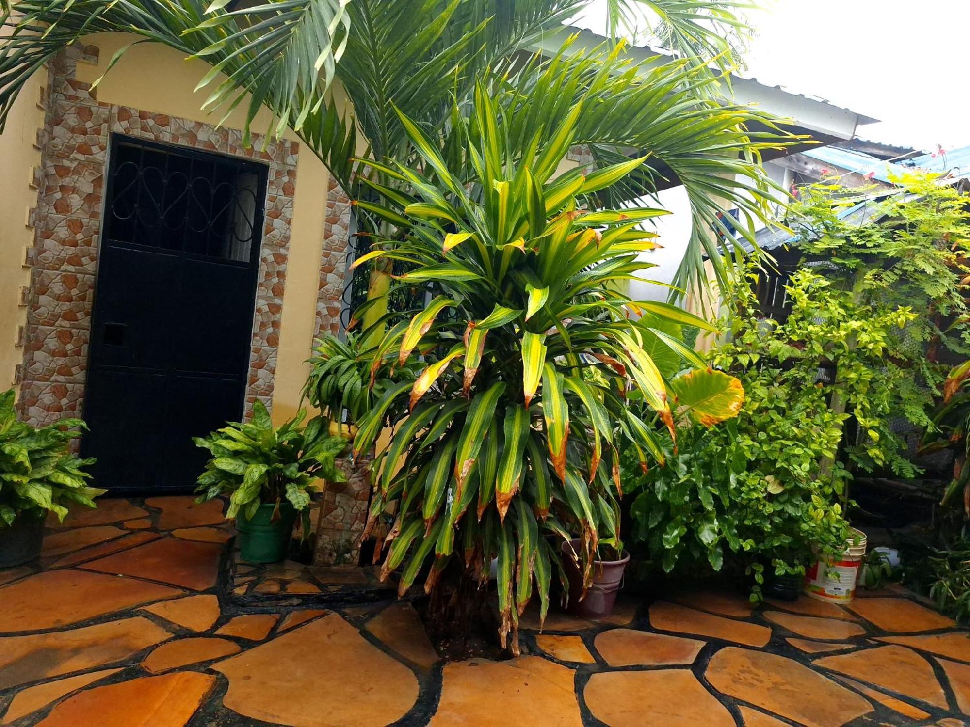 Mount Zion Guest House, Mtwapa Mtomondoni Mombassa Buitenkant foto